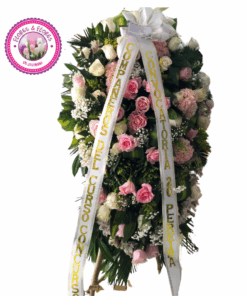 Reencuentro Celestial